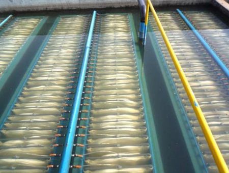 點(diǎn)擊查看詳細(xì)信息<br>標(biāo)題：MBR膜生物反應(yīng)器 閱讀次數(shù)：2582