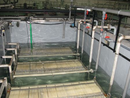 點(diǎn)擊查看詳細(xì)信息<br>標(biāo)題：MBR膜反應(yīng)池 閱讀次數(shù)：2643